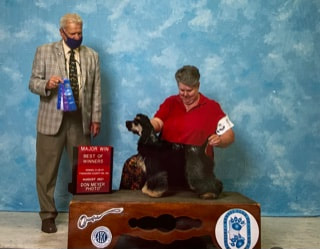 Abitt kennels top